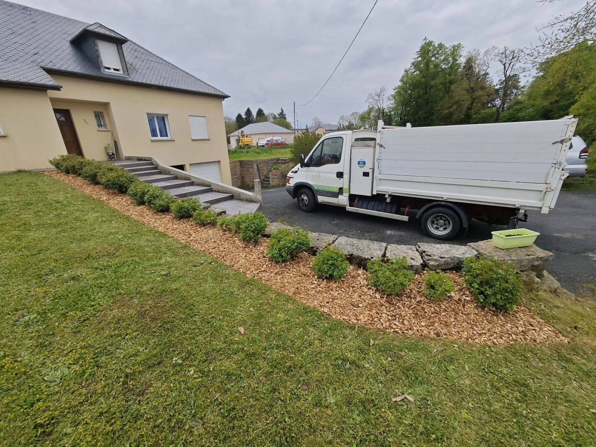 Plantation de buis