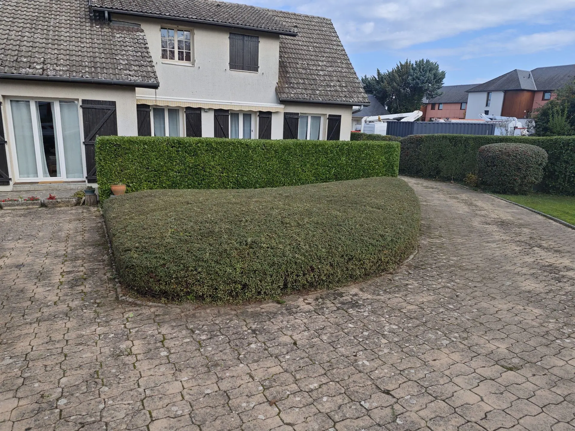 Sculpter buisson